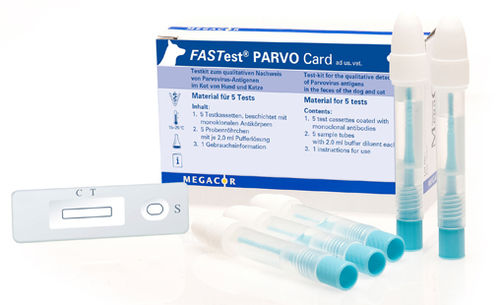 Schnelltest für Infektionskrankheiten - FASTest® PARVO - MEGACOR Diagnostik - für Katzen / für Hunde / Antigene