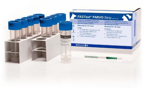 Schnelltest für Infektionskrankheiten - FASTest® PARVO  - MEGACOR Diagnostik - für Diarrhoe / für Katzen / für Hunde