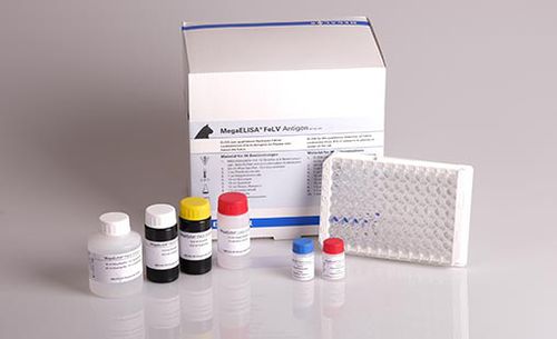 Testkit für Katzenleukämie - MegaELISA®  - MEGACOR Diagnostik - für Tiere / Antigene / FeLV