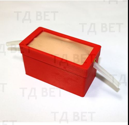 Simulator für Katheterisierung - Vetbot-02 - Vetbot - Infusion / für Veterinärmedizin