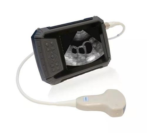 Tierärztliches Ultraschallsystem / Handgerät - P6  - JZH Greenenergy - Multifunktion / für Kleintiere / für Großtiere