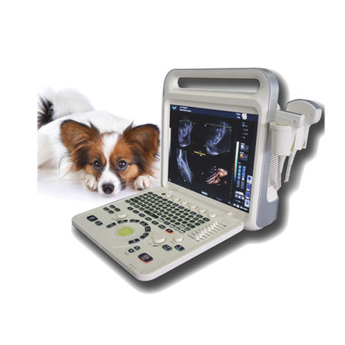 Tragbares Tierärztliches Ultraschallsystem - XF3600V - Xianfeng Ultrasound Medical - Multifunktion / für Hunde / für Hunde