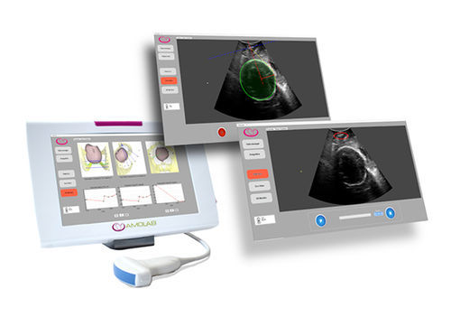 Medizinische Software - SensUS Touch  - Amolab - für geburtshilfliche Untersuchungen / für Kliniken / Visualisierung