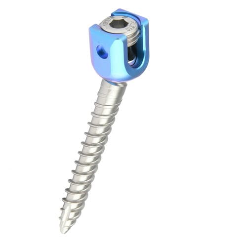 Pedikelschraube für Lumbal-Thorakal-Wirbel - REED Polyaxial Screw - H.P.I. Medical - polyaxial / Metall