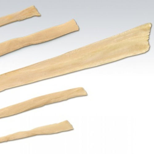 Bandersatz / lange Wadenbein-Sehne - NeoSys Medical Solutions - Sehne des Musculus grazilis / Sehne des Semitendunosus / allograft