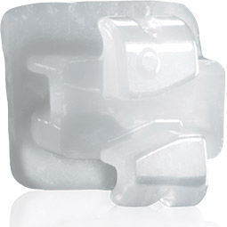 Orthodontie Bracket / ästhetisch - Tip-Edge PLUS®  - TP Orthodontics - transparent