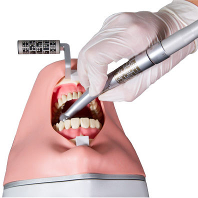 Patientensimulator für Zahnchirurgie - Inliant Dental Technologies Inc. - für Zahnbehandlung / Kopf
