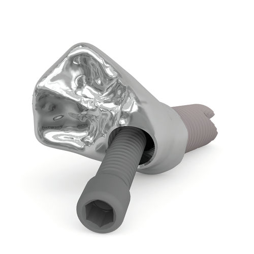 Prothetikschraube - Kiran® Screw - Ziacom Medical
