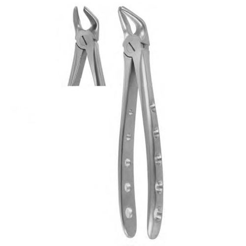 Dentale Extraktionszange / für Prämolaren - 1002 - Thempson - englische Form