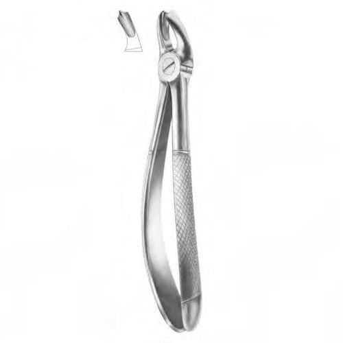 Dentale Extraktionszange / für Molaren - 1011 - Thempson - englische Form