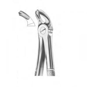 Dentale Extraktionszange / für Molaren - 1017 - Thempson - englische Form
