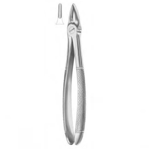 Dentale Extraktionszange / für Zahnwurzeln - 1023 - Thempson - englische Form