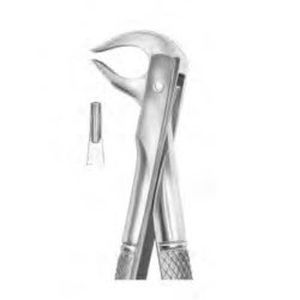 Dentale Extraktionszange / für Prämolaren - 1082 - Thempson - für Zahnwurzeln / englische Form