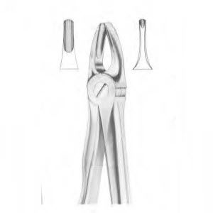 Dentale Extraktionszange / für Schneidezähne - 1147 - Thempson - für obere Schneidezähne / englische Form