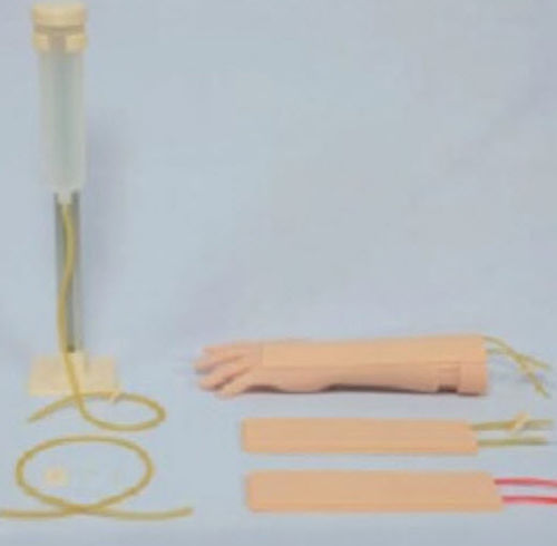 Anatomisches Modell / Arm - 3D Lifeprints UK Ltd - für Injektionen / Ausbildung / Kinder