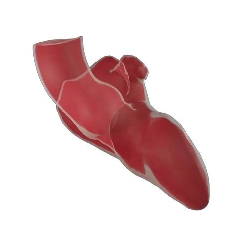 Medizinische Software - ADAM - Materialise UK - Anatomie / Computertomographie / Analyse