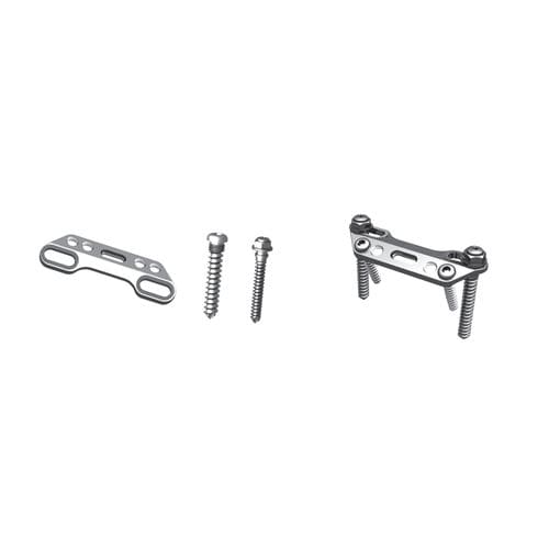 Thorako-lumbale Arthrodeseplatte - Irene Ortho - mit Verriegelung / Metall
