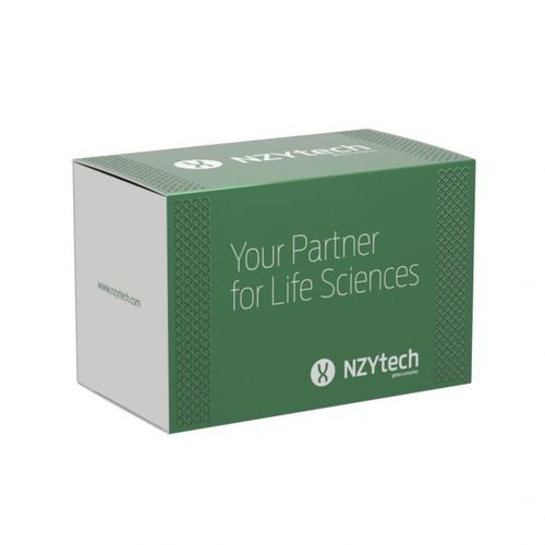 Reagenzkit / als Lösung - Supreme HC NZY - NZYTech - Enzyme / umgekehrte Transkriptase / Verdünnungspuffer