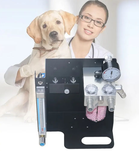 Anästhesiearbeitsplatz für Veterinärmedizin / auf Wagen - OLV-V1 - Zhengzhou Olive Electronic Technology