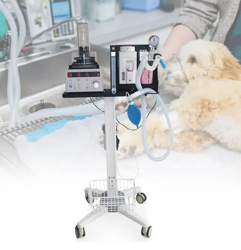 Anästhesiearbeitsplatz für Veterinärmedizin / auf Wagen - OLV-V5 - Zhengzhou Olive Electronic Technology