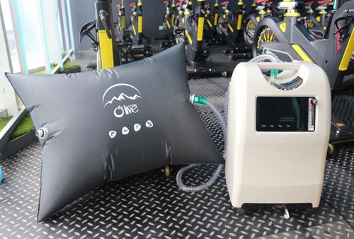 Medizinischer Sauerstoffgenerator - OLV-10 T - Zhengzhou Olive Electronic Technology - auf Rollen / tragbar