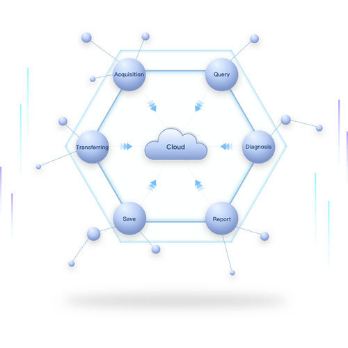 Cloud-Computing / für die Medizintechnik - SinoVision - web-based / Reporting / Datenerfassung