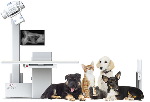 Digitales Veterinär-Röntgensystem - i72W - MYVET