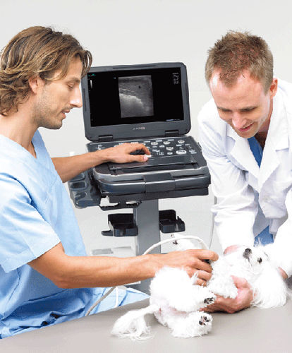 Plattformmontiertes Tierärztliches Ultraschallsystem - E-CUBE i7 - MYVET - Multifunktion