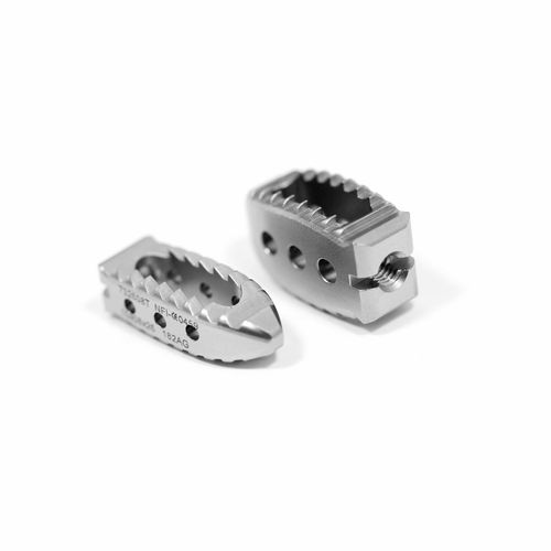 Thorako-lumbales Zwischenwirbelimplantat - SHARK - NEURO FRANCE Implants - dorsaler Zugang / Titan