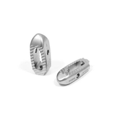 Thorako-lumbales Zwischenwirbelimplantat - AVENIR - NEURO FRANCE Implants - dorsaler Zugang / transforaminaler Zugang / Titan