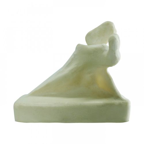Anatomisches Modell / Knochen - 3014BL  - Nacional Ossos - Schulterblatt / für orthopädische Chirurgie / für Vorführzwecke