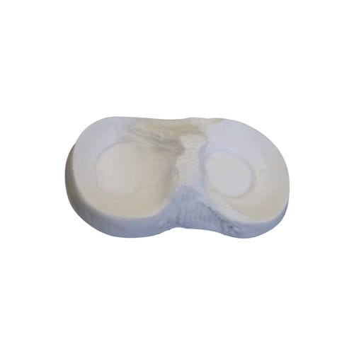 Anatomisches Modell / Knochen - 6000-05 - Nacional Ossos - Meniskus / für orthopädische Chirurgie / für die Ausbildung