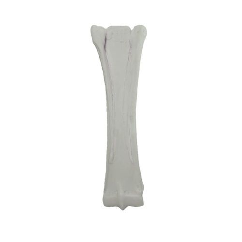 Anatomisches Modell / spongiöser Knochen - 15260-5 - Nacional Ossos - Metacarpal / für Veterinärbehandlung / für die Ausbildung