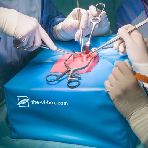Simulator für Gefäßchirurgie - VI Box  - LifeLike BioTissue Inc. - Ausbildung / zum Sezieren / Arbeitsstation
