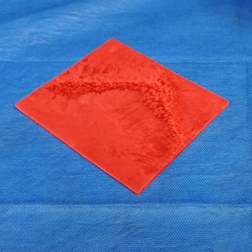 Anatomisches Modell / Darm - 034 series - LifeLike BioTissue Inc. - chirurgisch / Ausbildung