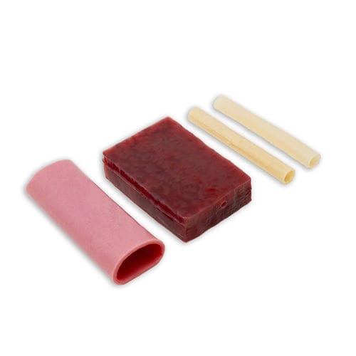 Anatomisches Modell / Chirurgie - 03 series - LifeLike BioTissue Inc. - Vene / Gallengang / Bauchspeicheldrüse