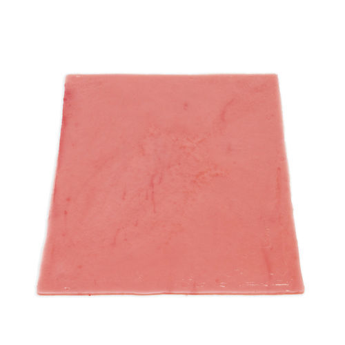 Anatomisches Modell / Blase - 060 series - LifeLike BioTissue Inc. - chirurgisch / für urologische Behandlungen / Ausbildung