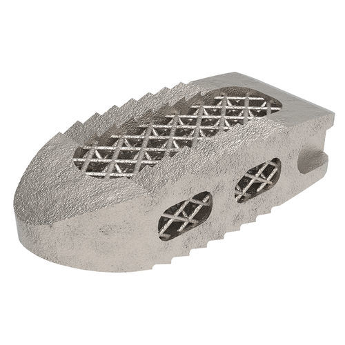 Thorako-lumbales Zwischenwirbelimplantat - Tra-Ti - NORMMED Medical Devices - dorsaler Zugang / Titan