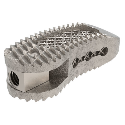 Thorako-lumbales Zwischenwirbelimplantat - Tra-Ti - NORMMED Medical Devices - transforaminaler Zugang / Titan