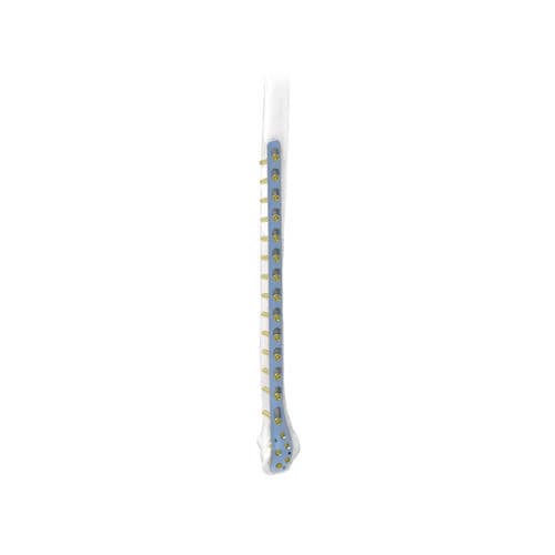 Kompressionsplatte für Fibula - PNM1016 - NORMMED Medical Devices - distal / seitlich / mit Verriegelung