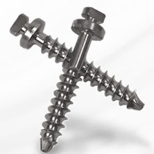 Arthrodeseschraube für Lendenwirbel - Capture™ - Spineology - Metall