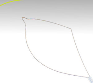 Fangkörbchen zur Extraktion von Darmpolypen - ezSnare™ Crescent - Endo-Therapeutics - gerade