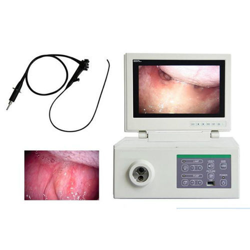 Veterinär-Gastroskop / Video - HW37 - Hunan Fude Technology - für Kleintiere / für Großtiere / mit integriertem Bildschirm