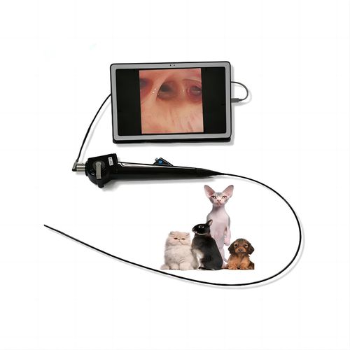 Veterinär-Bronchoskop / Video - FD-58A - Hunan Fude Technology - für Kleintiere / mit Arbeitskanal