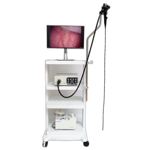Veterinär-Gastroskop / Video - HU37T - Hunan Fude Technology - für Kleintiere / für Großtiere / mit Arbeitskanal