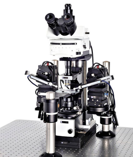 Patch-Clamp-System / für Forschungszwecke - SliceScope Pro 1000 - Scientifica - mit Umkehrmikroskop