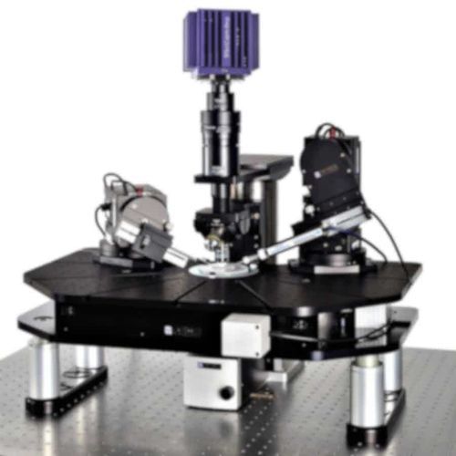 Patch-Clamp-System / für Forschungszwecke - SliceScope Pro 3000 - Scientifica