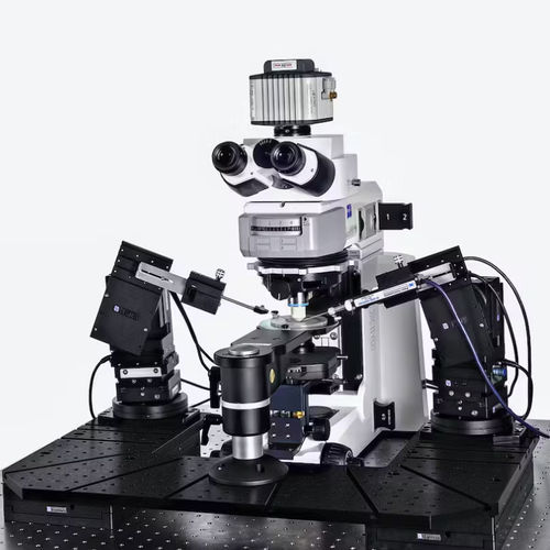 Patch-Clamp-System - Patch Pro 6000 - Scientifica