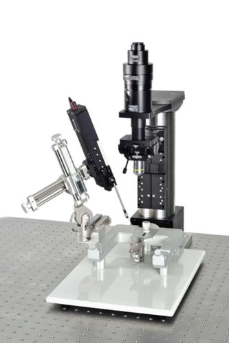 Motorisierter Mikromanipulator - IVM Single - Scientifica