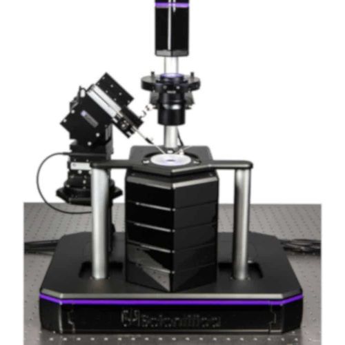 Optisches Mikroskop - PatchScope Pro 1000 - Scientifica - Neurowissenschaften / Invers / Fluoreszenz
